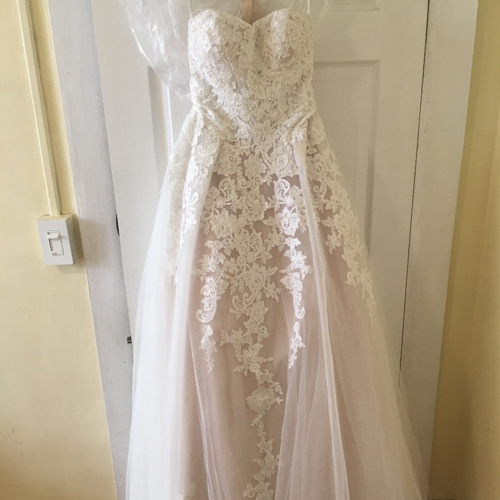 Sheer Lace and Tulle Ball Gown Wedding Dress NWT